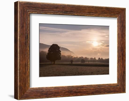 Summer Morning in Carinthia-Simone Wunderlich-Framed Photographic Print