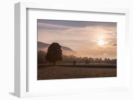 Summer Morning in Carinthia-Simone Wunderlich-Framed Photographic Print
