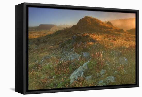 Summer Morning Light at Sea Ranch-Vincent James-Framed Premier Image Canvas