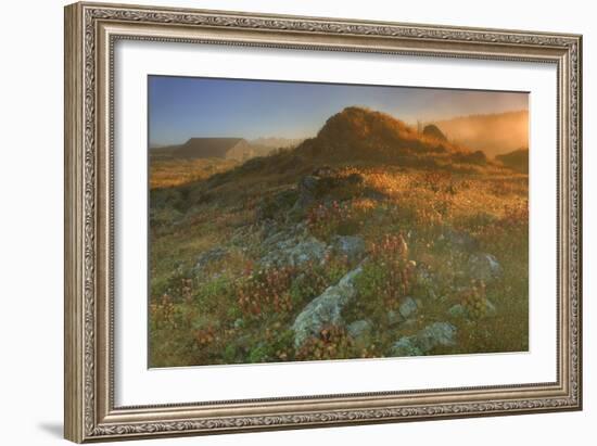 Summer Morning Light at Sea Ranch-Vincent James-Framed Photographic Print