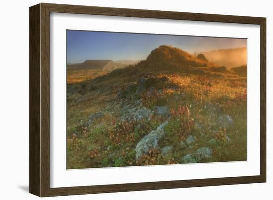Summer Morning Light at Sea Ranch-Vincent James-Framed Photographic Print