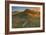 Summer Morning Light at Sea Ranch-Vincent James-Framed Photographic Print