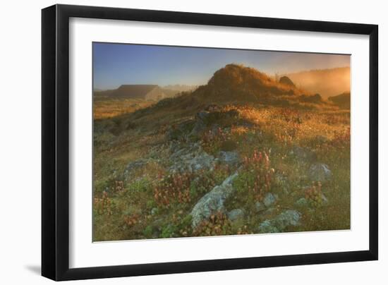 Summer Morning Light at Sea Ranch-Vincent James-Framed Photographic Print