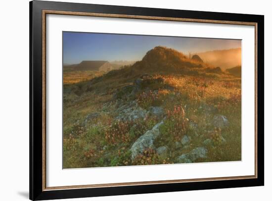 Summer Morning Light at Sea Ranch-Vincent James-Framed Photographic Print