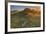 Summer Morning Light at Sea Ranch-Vincent James-Framed Photographic Print