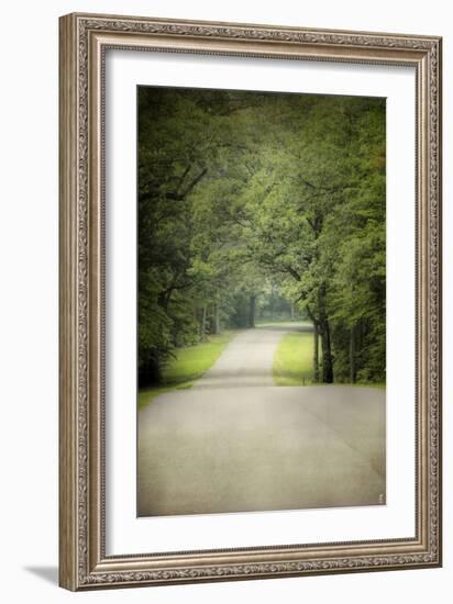 Summer Morning Stroll-Jai Johnson-Framed Photographic Print