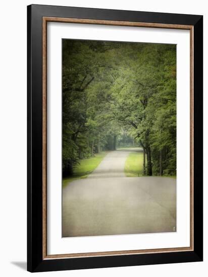 Summer Morning Stroll-Jai Johnson-Framed Photographic Print