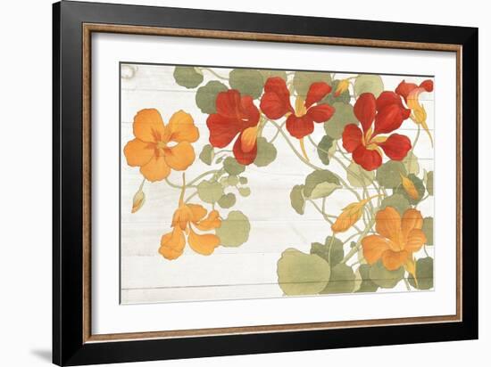 Summer Nasturtiums Cottage-Wild Apple Portfolio-Framed Art Print