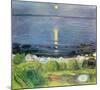 Summer Night At The Shore-Edvard Munch-Mounted Premium Giclee Print