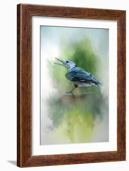 Summer Nuthatch-Jai Johnson-Framed Giclee Print