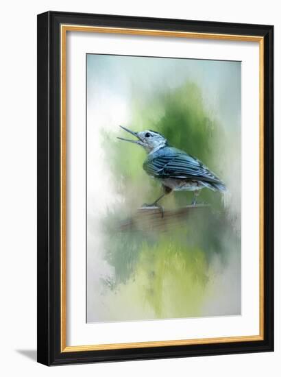 Summer Nuthatch-Jai Johnson-Framed Giclee Print