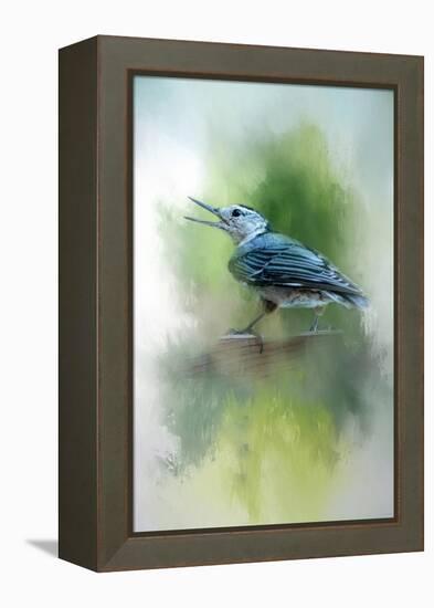 Summer Nuthatch-Jai Johnson-Framed Premier Image Canvas