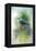 Summer Nuthatch-Jai Johnson-Framed Premier Image Canvas