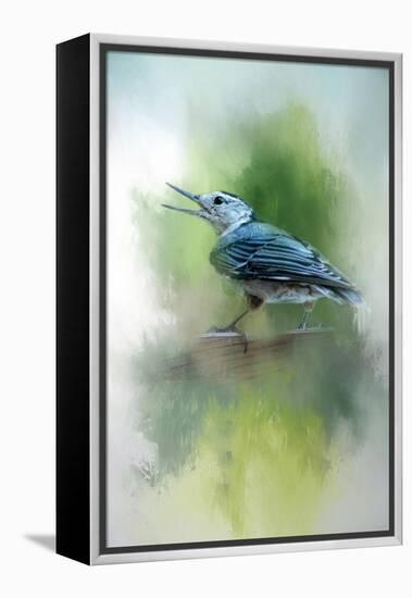 Summer Nuthatch-Jai Johnson-Framed Premier Image Canvas