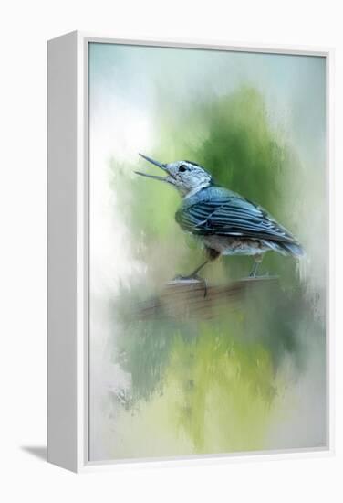 Summer Nuthatch-Jai Johnson-Framed Premier Image Canvas