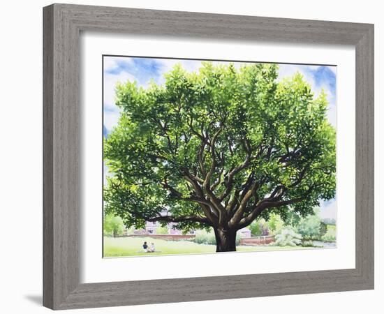 Summer Oak Tree-Christopher Ryland-Framed Giclee Print