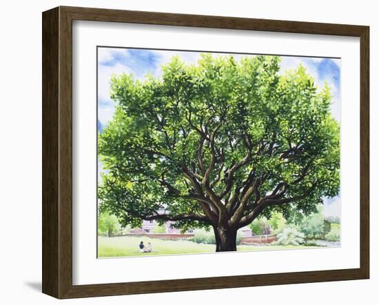 Summer Oak Tree-Christopher Ryland-Framed Giclee Print