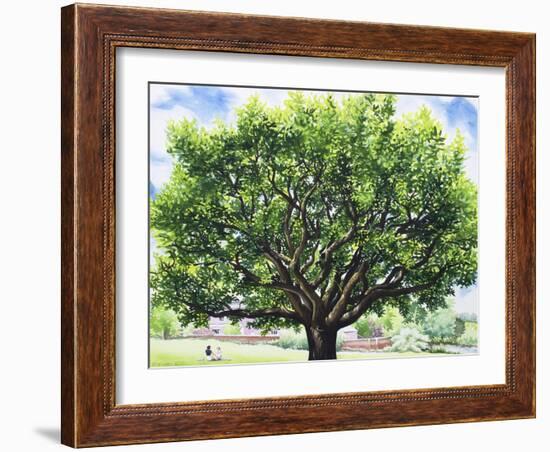 Summer Oak Tree-Christopher Ryland-Framed Giclee Print