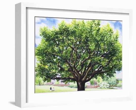 Summer Oak Tree-Christopher Ryland-Framed Giclee Print