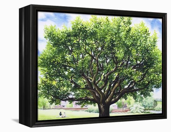 Summer Oak Tree-Christopher Ryland-Framed Premier Image Canvas