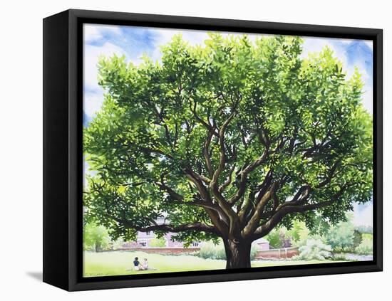 Summer Oak Tree-Christopher Ryland-Framed Premier Image Canvas