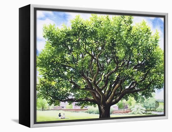 Summer Oak Tree-Christopher Ryland-Framed Premier Image Canvas