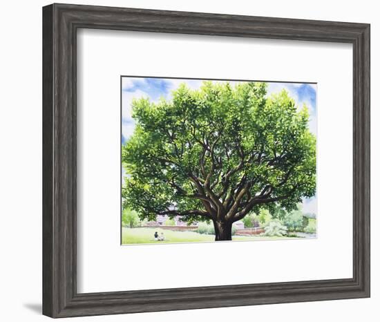 Summer Oak Tree-Christopher Ryland-Framed Giclee Print