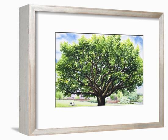 Summer Oak Tree-Christopher Ryland-Framed Giclee Print