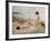 Summer on the Beach-Paul Fischer-Framed Giclee Print