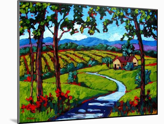 Summer on Young America Road-Patty Baker-Mounted Art Print