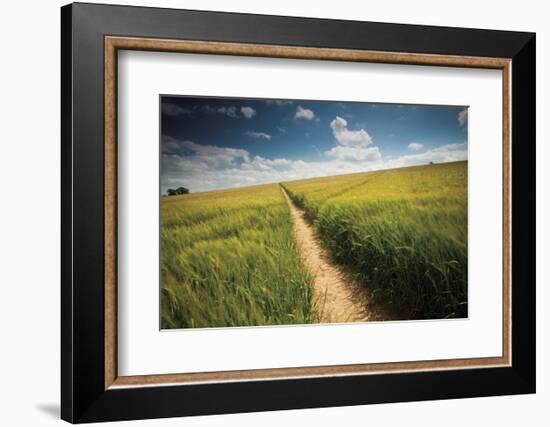 Summer Path-Michael Hudson-Framed Art Print