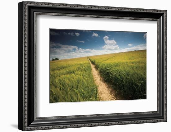 Summer Path-Michael Hudson-Framed Art Print