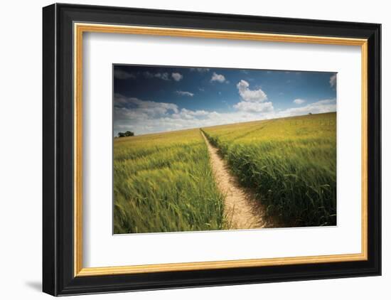 Summer Path-Michael Hudson-Framed Art Print