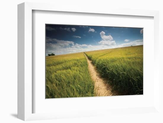 Summer Path-Michael Hudson-Framed Art Print