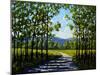 Summer Path-Patty Baker-Mounted Art Print