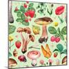 Summer Pattern with Watercolor Illustrations of Flowers and Mushrooms-Sundra-Mounted Art Print