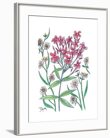 Summer Phlox-Beverly Dyer-Framed Art Print