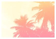 Coconut Palm Trees-Summer Photography-Art Print