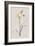 Summer Plant 1-Design Fabrikken-Framed Premium Giclee Print