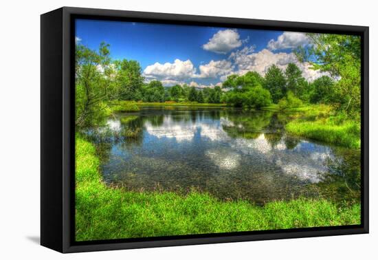 Summer Pond-Robert Goldwitz-Framed Premier Image Canvas