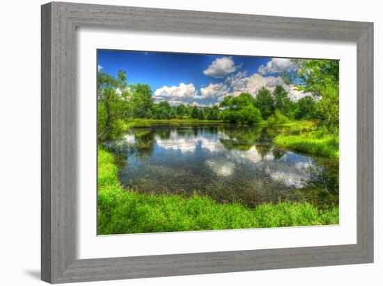 Summer Pond-Robert Goldwitz-Framed Photographic Print