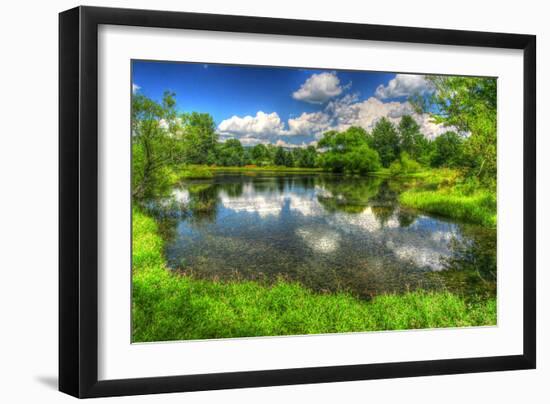 Summer Pond-Robert Goldwitz-Framed Photographic Print