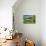 Summer Pond-Robert Goldwitz-Mounted Photographic Print displayed on a wall