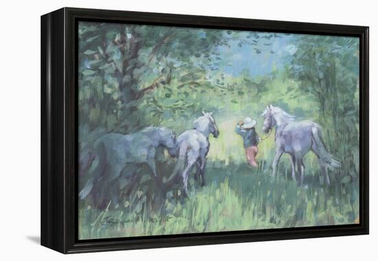 Summer Ponies-Jennifer Wright-Framed Premier Image Canvas