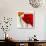 Summer Poppies I-Jenny Thomlinson-Art Print displayed on a wall