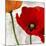 Summer Poppies I-Jenny Thomlinson-Mounted Art Print