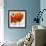 Summer Poppies II-Jenny Thomlinson-Framed Art Print displayed on a wall