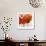 Summer Poppies II-Jenny Thomlinson-Framed Art Print displayed on a wall