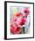 Summer Poppies II-Karin Johannesson-Framed Art Print