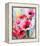 Summer Poppies II-Karin Johannesson-Framed Stretched Canvas